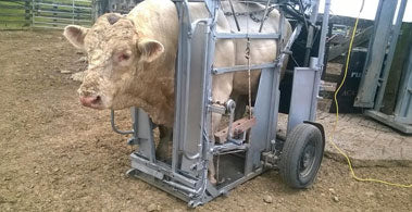 Central Districts Fieldays, 14-16 March